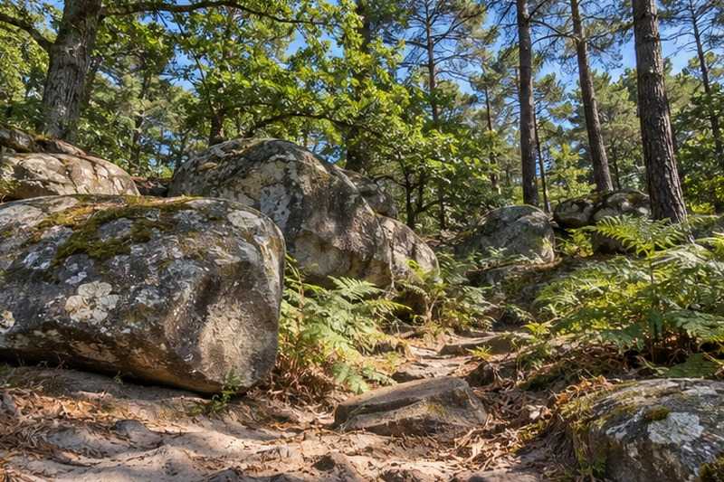 Lisière de forêt et rochers de grès, Bussy-Saint-Georges