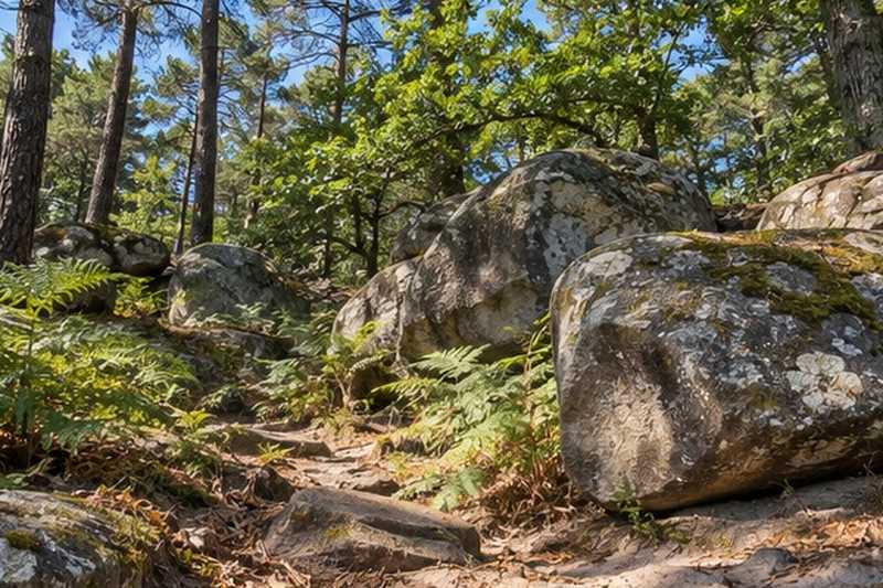 Lisière de forêt et rochers de grès, Coulommiers