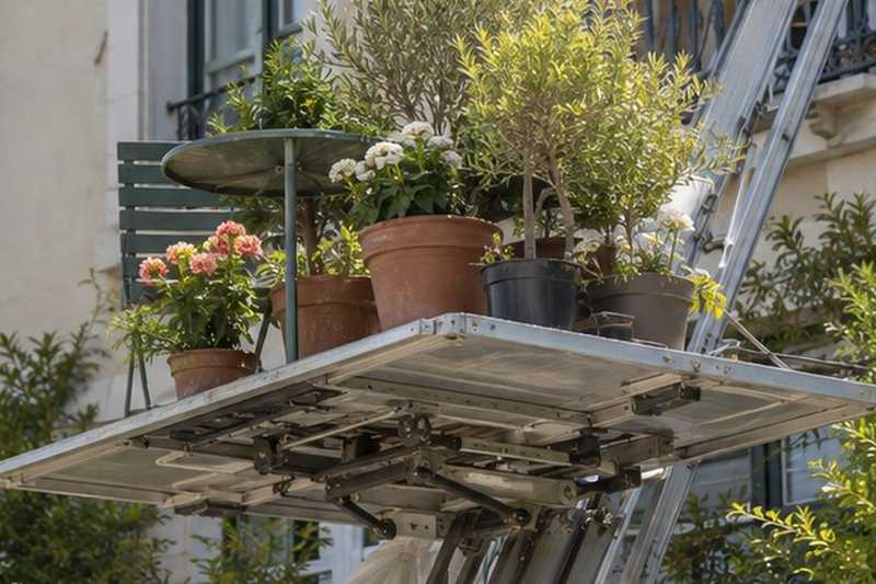 Plantes de balcon descendues