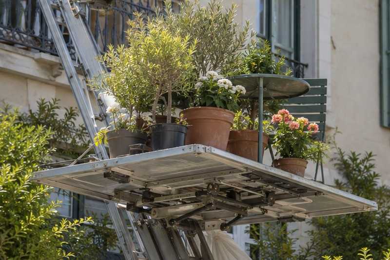 Plantes de balcon descendues : chantier Avenue de la Morelle