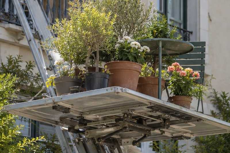 Plantes de balcon descendues
